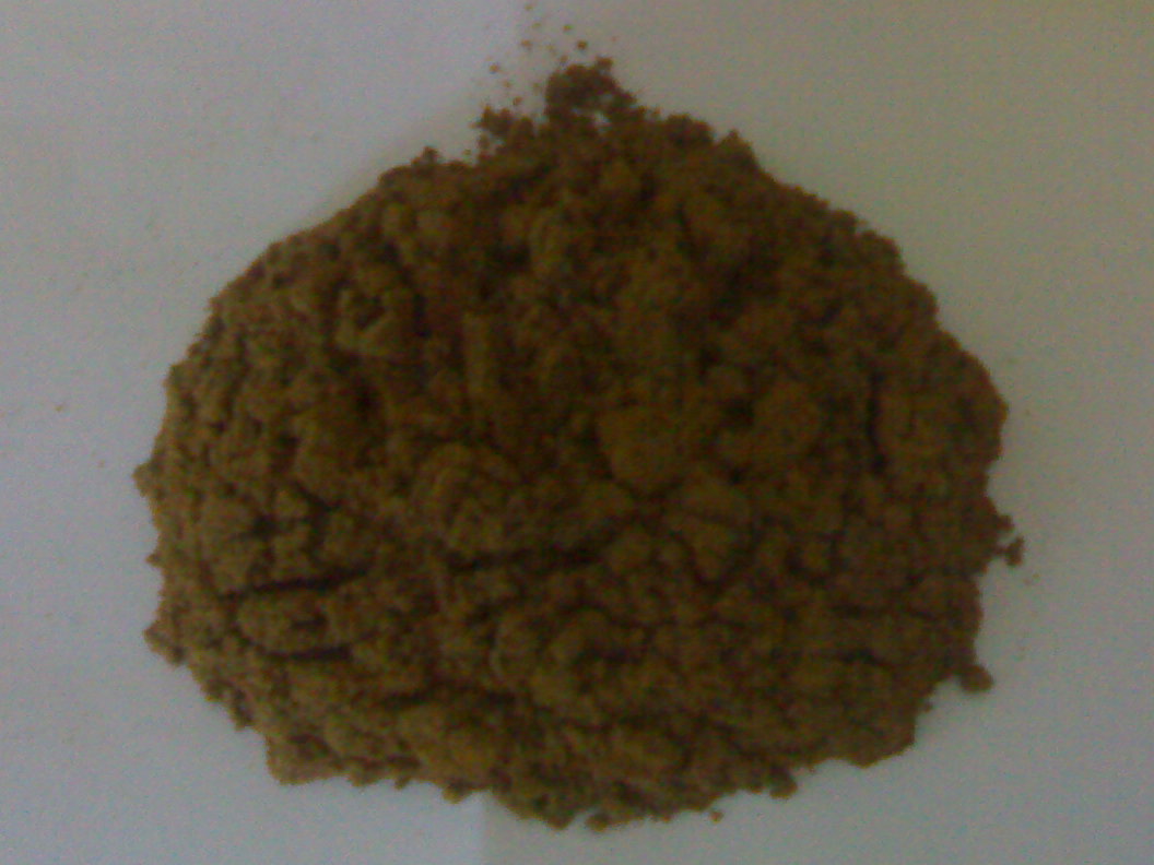 15122007016.jpg